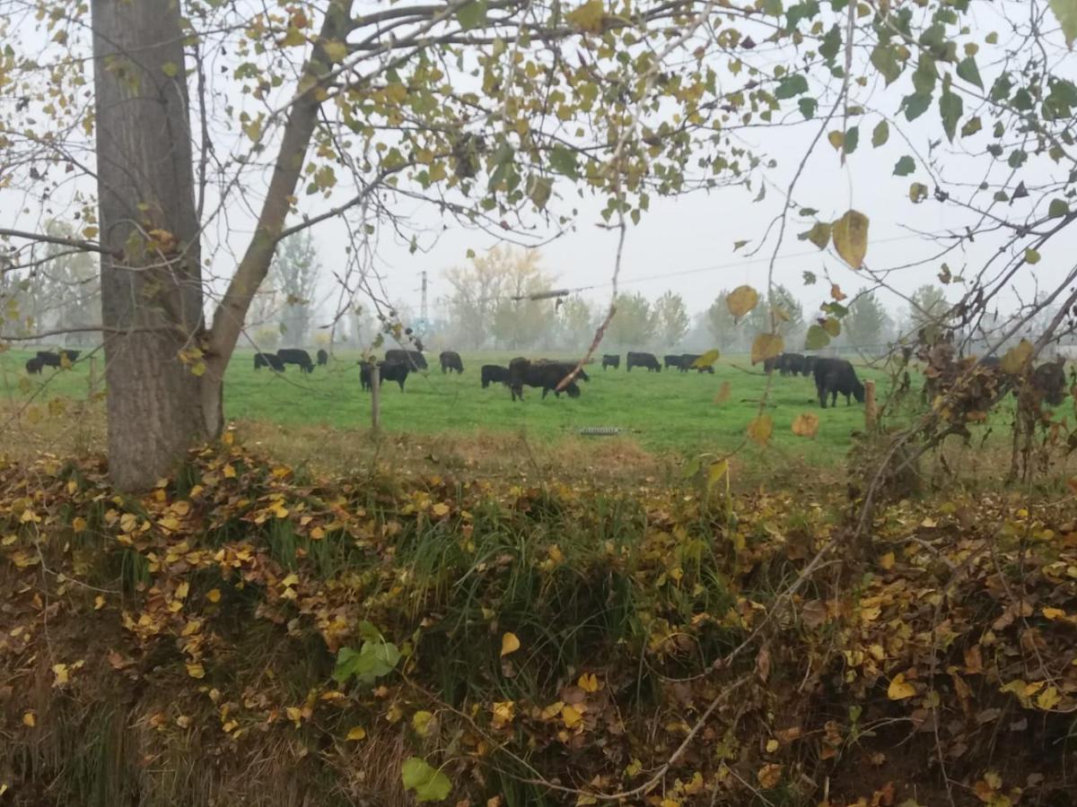 لودي Agriturismo Cascina Pezzolo المظهر الخارجي الصورة